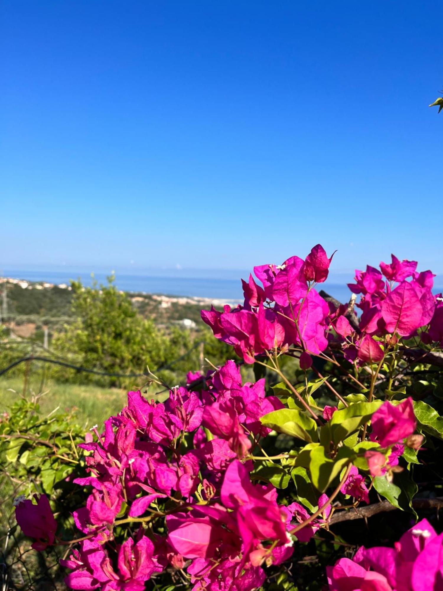 Giardino Di Sicilia Guest House SantʼAgata di Militello Exterior foto
