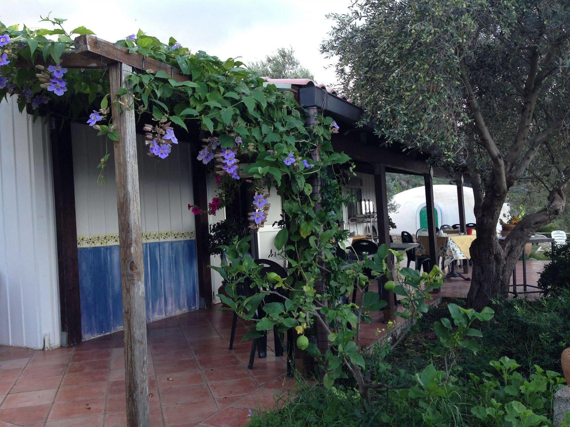Giardino Di Sicilia Guest House SantʼAgata di Militello Exterior foto